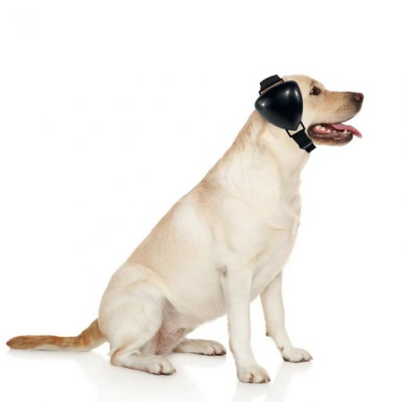 Casti antifonice pentru catei, protectie auz animale, dimensiune L, Negru [4]