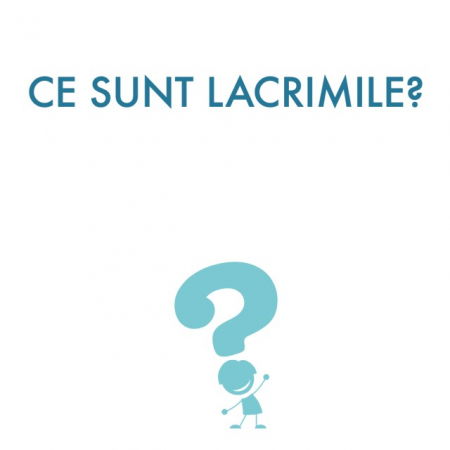 Joc educativ Ce este... ? [2]