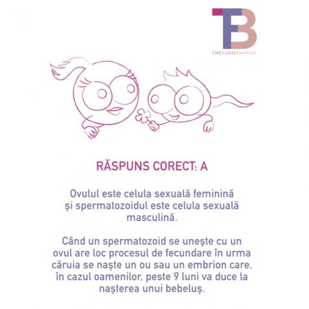 Jocuri educative - Joc educativ Copiii și Corpul Uman