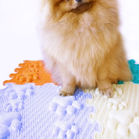 Covoras ortopedic pentru masaj, 1 piesa, model Lucky Paws, Diverse culori [7]