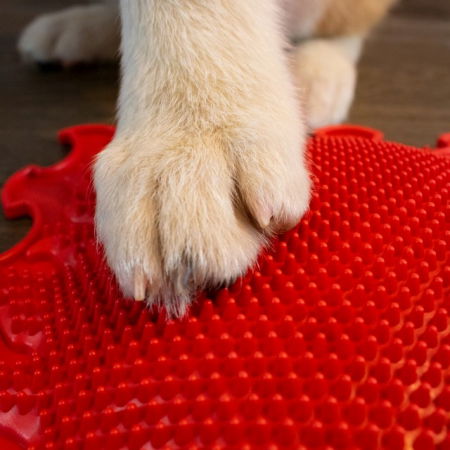 Covoras ortopedic pentru masaj, 1 piesa, model Shining Sun, Rosu [3]