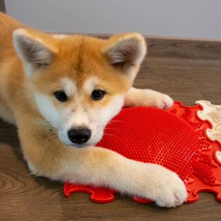 Covoras ortopedic pentru masaj, 1 piesa, model Shining Sun, Rosu [2]