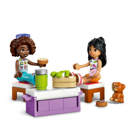  LEGO®  Friends - Masina de calatorii a prieteniei (42659), 220 piese [3]