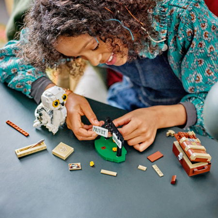 LEGO® Harry Potter - Hedwig pe Privet Drive nr. 4 (76425), 337 piese [3]