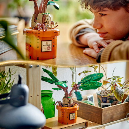  LEGO®  Harry Potter - Matraguna (76433), 579 piese [9]