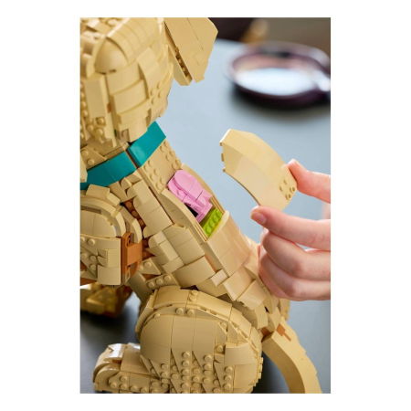 LEGO® Icons (Creator Expert) - Catelus Golden Retriever (11384), 2102 piese [9]