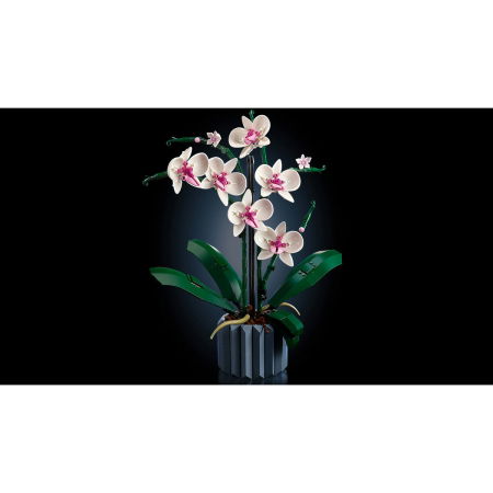  LEGO®  Icons (Creator Expert) - Orhidee﻿ (10311), 608 piese [9]