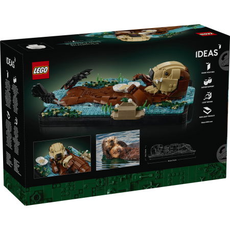 LEGO® Ideas - Vidre plutind pe apă (21366), 1234 piese [2]