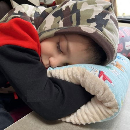 Perna de alaptare bebelusi pentru brat,perna relaxare, Empria, 24x20x10 cm, Pets [7]