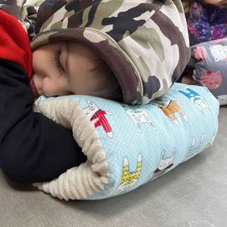 Perna de alaptare bebelusi pentru brat,perna relaxare, Empria, 24x20x10 cm, Pets [8]