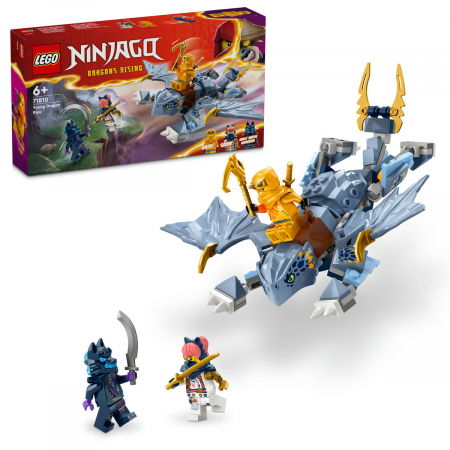 LEGO - LEGO® Ninjago - Tanarul dragon Riyu (71810), 132 piese
