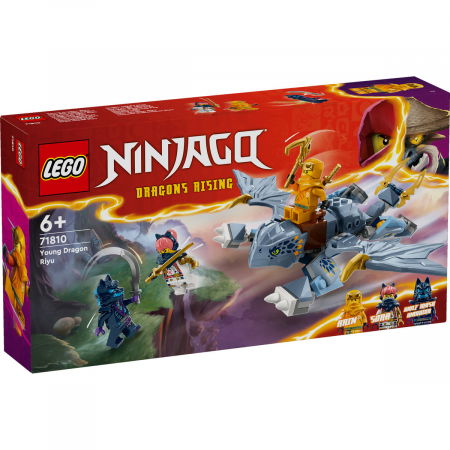 LEGO - LEGO® Ninjago - Tanarul dragon Riyu (71810), 132 piese