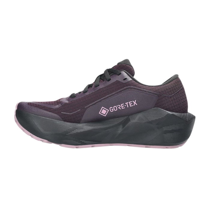 Asics Novablast 6 GTX - 1012C021-500 [2]