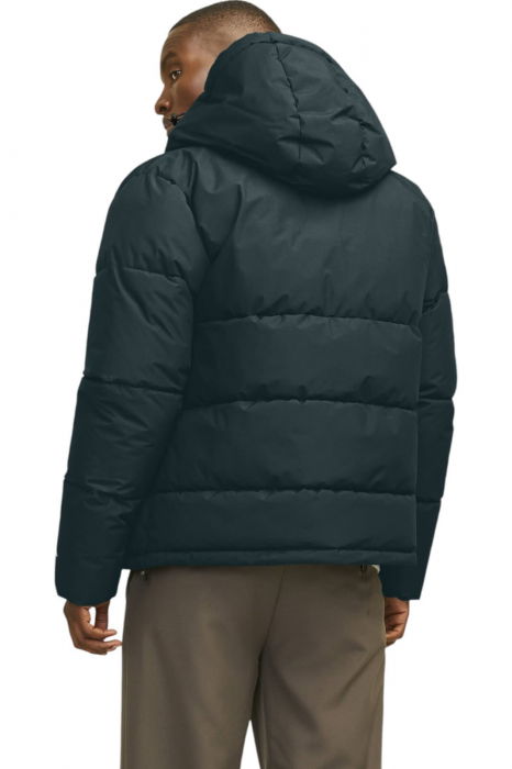 Geaca JACK &JONES World Puffer - 12259850-Magical Forest [2]
