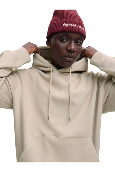 Hanorac JACK &JONES Ace Sweat Hood Noos - 12300662-Moonbeam [4]