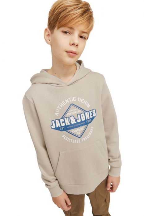 Hanorac JACK &JONES Logo Sweat Hood JNR - 12258823-Moonbeam [4]
