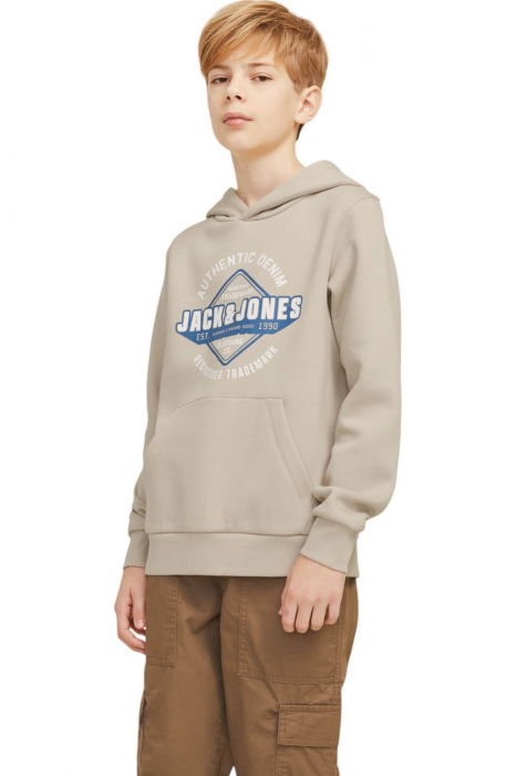Hanorac JACK &JONES Logo Sweat Hood JNR - 12258823-Moonbeam [1]