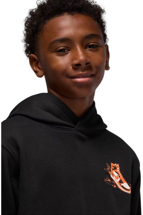 Hanorac Jordan Air Jordan Has Landed Po - 95F281-023 [3]