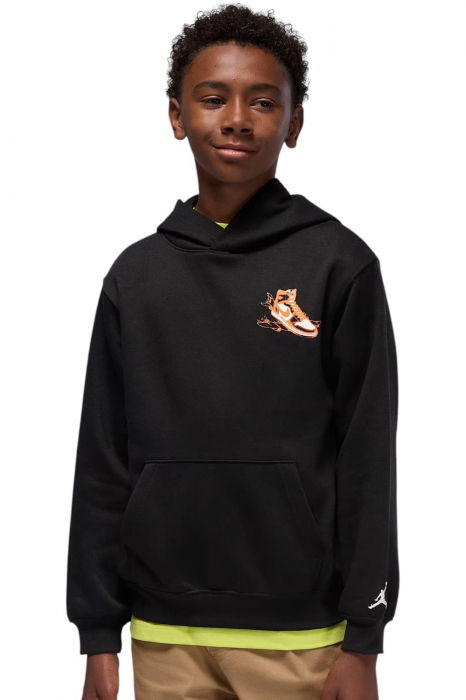 Hanorac Jordan Air Jordan Has Landed Po - 95F281-023 [1]