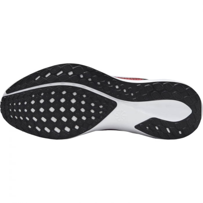 NIKE Pegasus 41 - FD2722-003 [5]