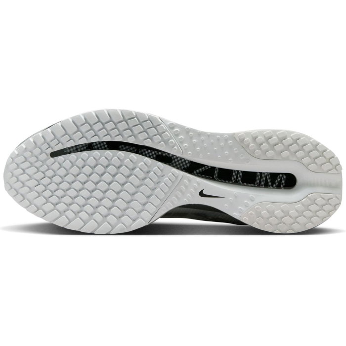 NIKE Pegasus Premium RR - IR1229-001 [5]