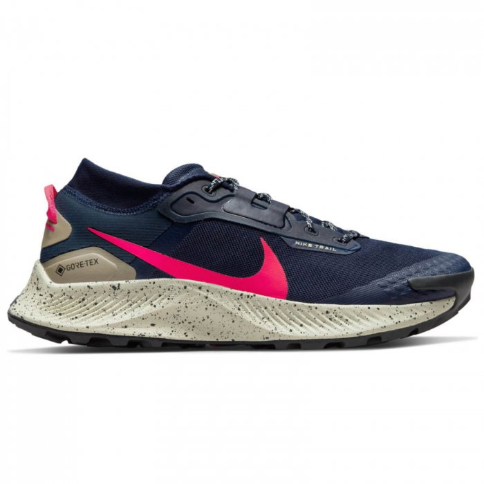 NIKE Pegasus Trail 3 Gore-Tex - DC8793-401 [1]
