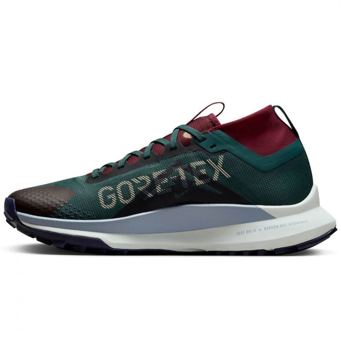 NIKE Pegasus Trail 4 Gore-Tex - DJ7926-302 [2]