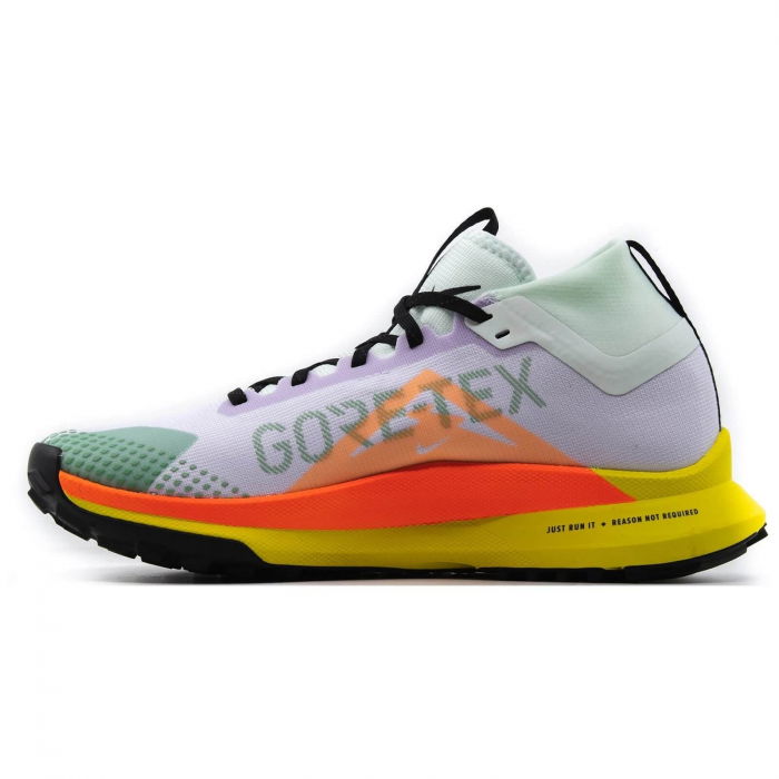 NIKE Pegasus Trail 4 Gore-Tex - DJ7926-500 [2]