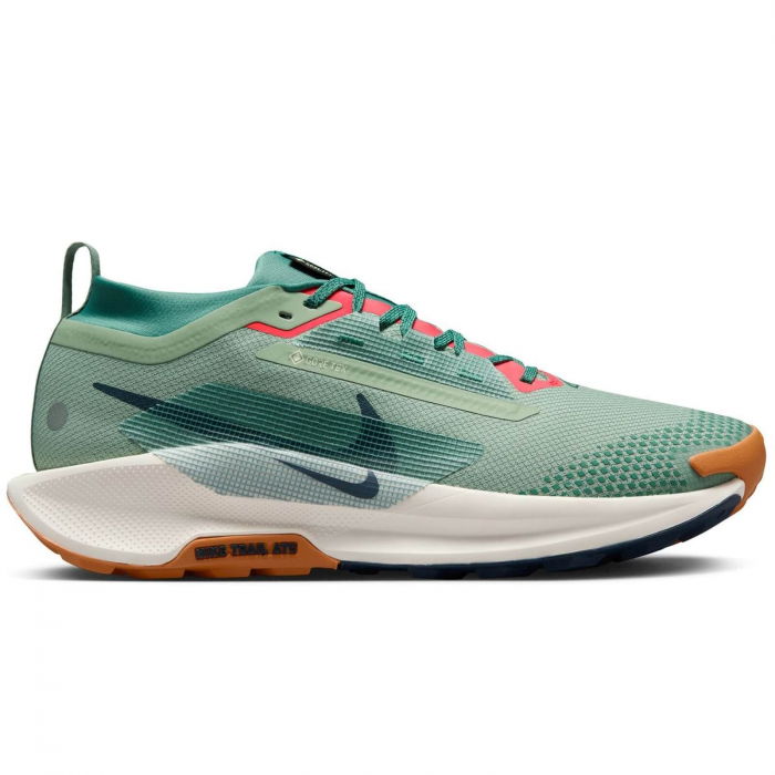 NIKE Pegasus Trail 5 GTX - FQ0908-300 [1]