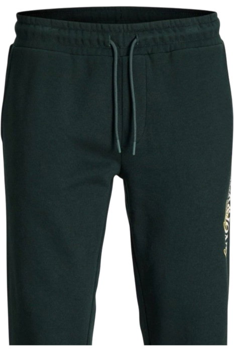 Pantaloni JACK &JONES Gordon Jade BF - 12299124-Scarab [4]
