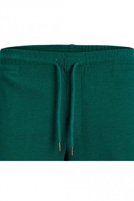 Short JACK &JONES Gale - 12255117-Dark Green [2]