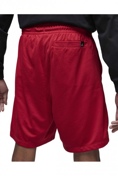 Short Jordan Essential Mesh Graphic - DV7652-687 [2]