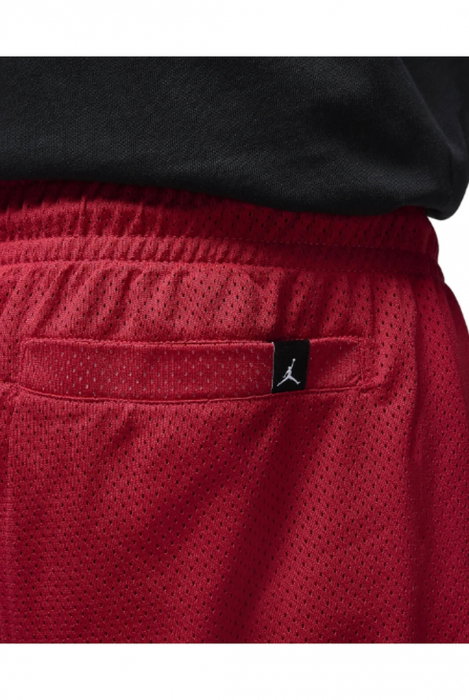 Short Jordan Essential Mesh Graphic - DV7652-687 [5]