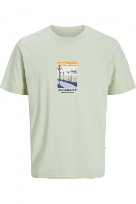 Tricou JACK &JONES Split Graphic Front - 12273000-Celadon Tint [1]
