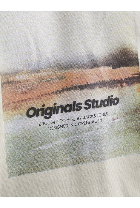 Tricou JACK &JONES Vesterbro Newton Box - 12265742-Moonbeam [4]