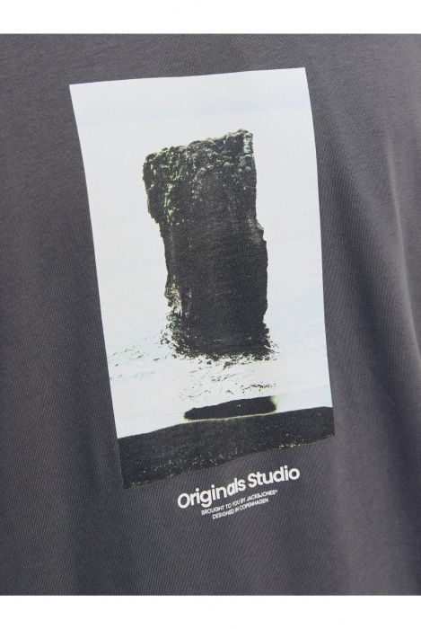 Tricou JACK &JONES Vesterbro Picture - 12250421-Iron [3]