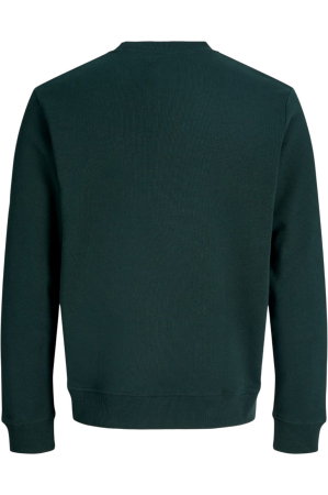 Bluza JACK &JONES Aero Sweat Crew Neck - 12298492-Scarab [1]