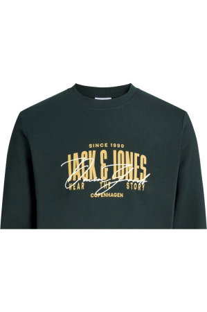 Bluza JACK &JONES Aero Sweat Crew Neck - 12298492-Scarab [3]