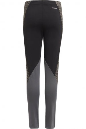 Colanti Adidas Designed 2 Move - GT1413 [1]