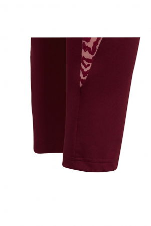 Colanti Adidas Designed 2 Move Seasonal - HC3041 [4]