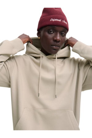Hanorac JACK &JONES Ace Sweat Hood Noos - 12300662-Moonbeam [3]