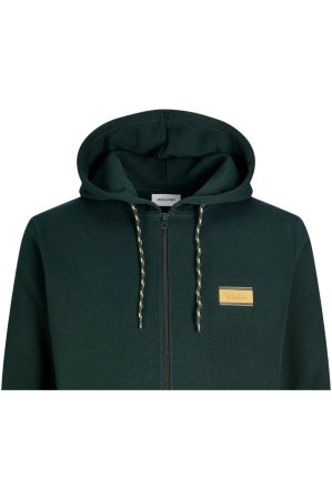Hanorac JACK &JONES Buster Sweat Zip Hood Bts - 12298627-Scarab [1]