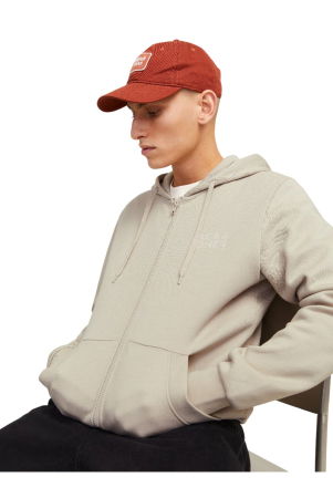 Hanorac JACK &JONES Corp Logo Small Print Zip Hood - 12265177-Moonbeam [4]