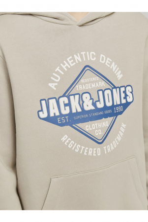 Hanorac JACK &JONES Logo Sweat Hood JNR - 12258823-Moonbeam [2]