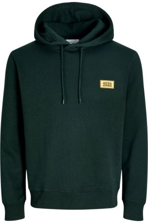 Hanorac JACK &JONES Rush Sweat Hood - 12298428-Scarab [2]