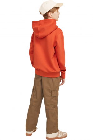 Hanorac JACK &JONES Vesterbro PO Hood JNR - 12242469-Summer Fig [1]