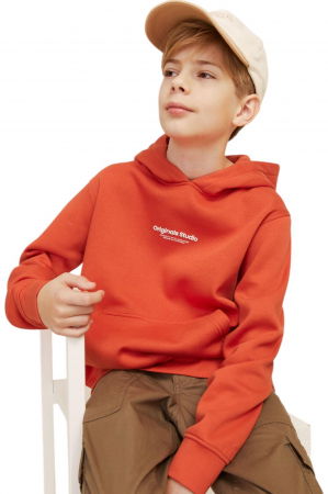 Hanorac JACK &JONES Vesterbro PO Hood JNR - 12242469-Summer Fig [2]