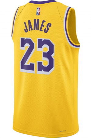 Maieu NIKE LA Lakers Swingman Icon 22 - DN2009-733 [1]