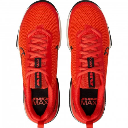 NIKE Alpha Trainer 6 - FQ1833-800 [2]