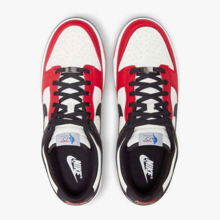 NIKE Dunk Low Retro EMB - DD3363-100 [2]